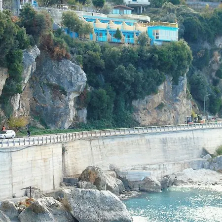 Blue Dream Vlora