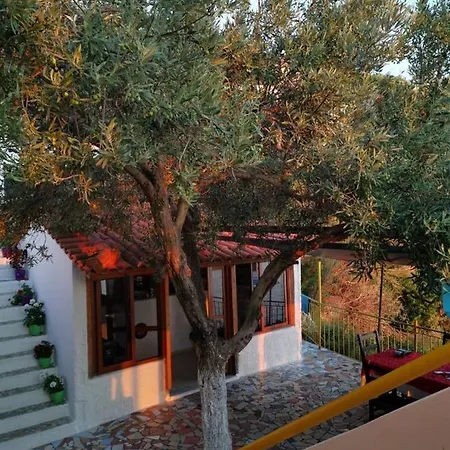 Blue Dream Hotel